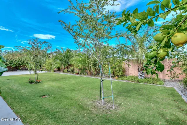 a view of a park with slide