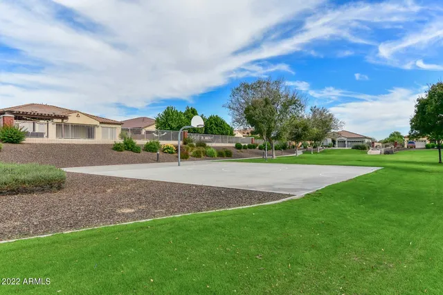 a view of a dry yard with palm trees