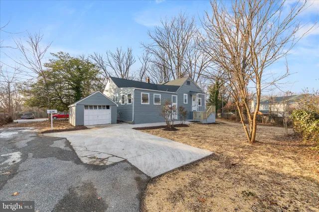 a view of dirt yard with a tree