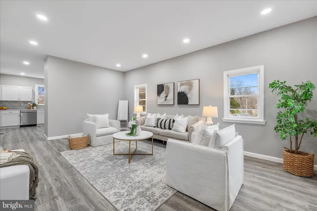 a living room with furniture and a potted plant