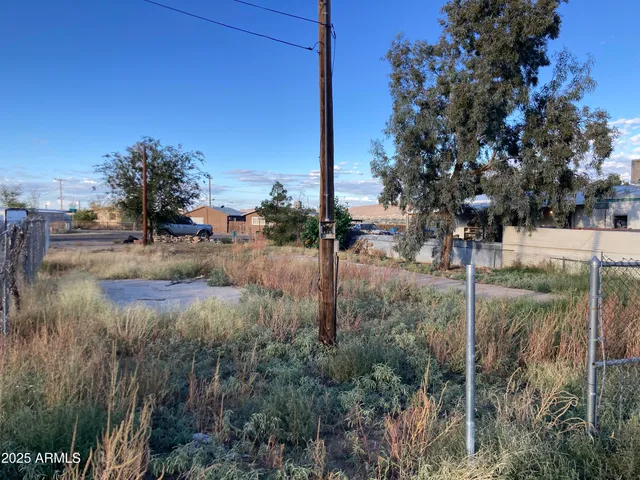 a view of river and trees