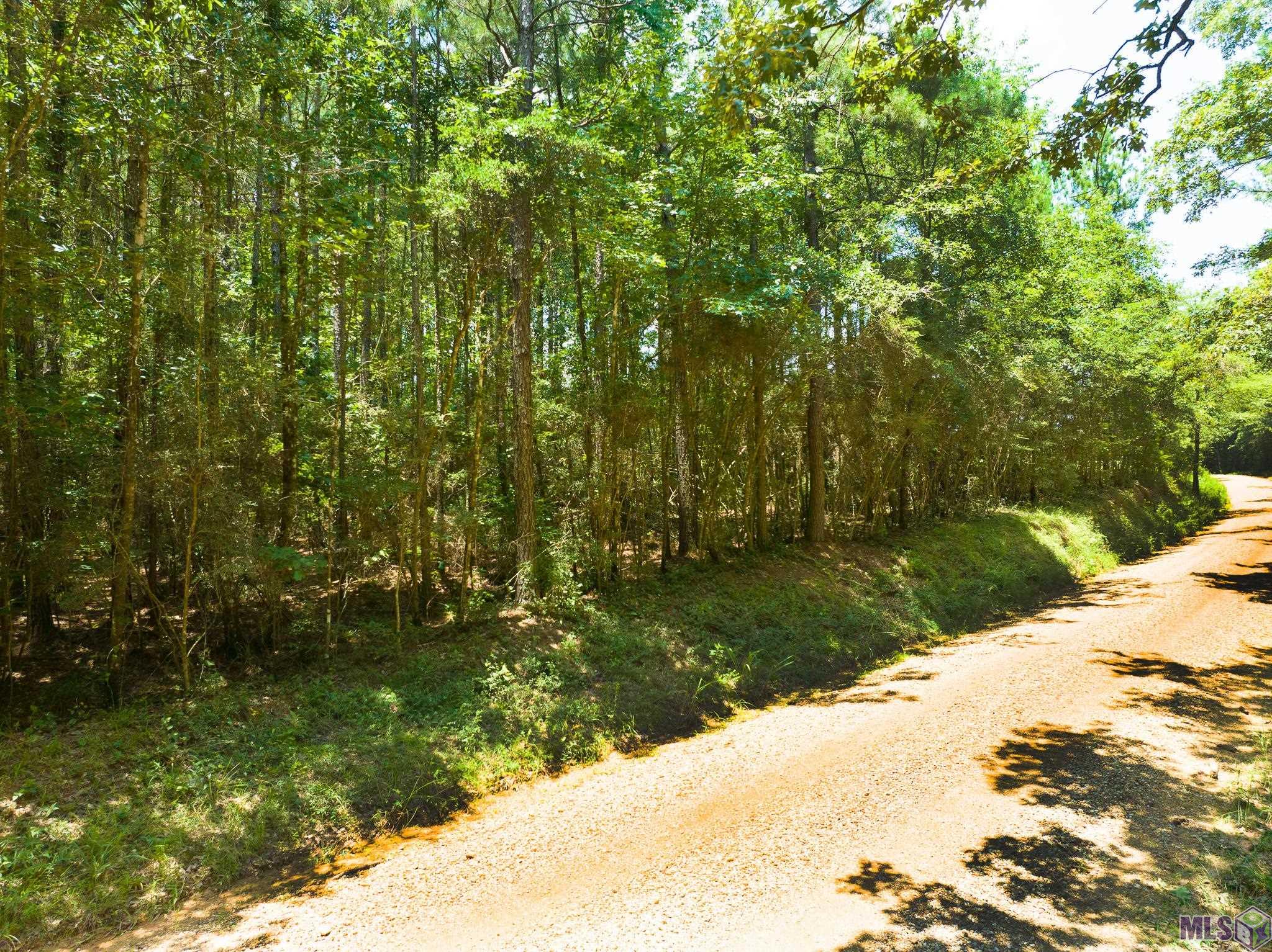 Tbd Tbd Peterson Road Clinton, LA 70722 - Photo 2 of 6