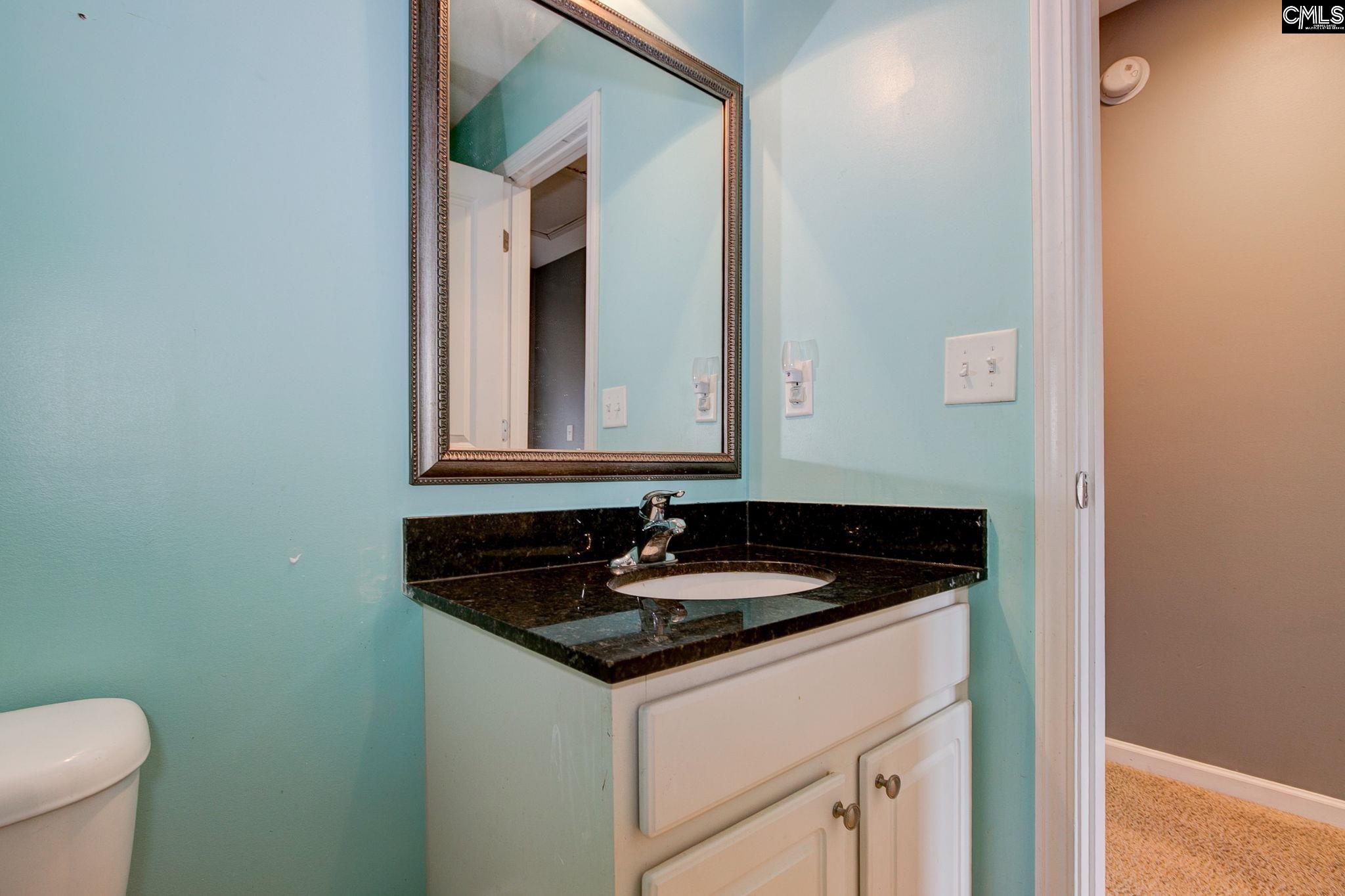 1371 Green Turf Lane Elgin, SC 29045 - Photo 10 of 42