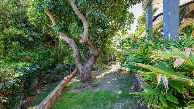 a view of a yard with plants and a trees