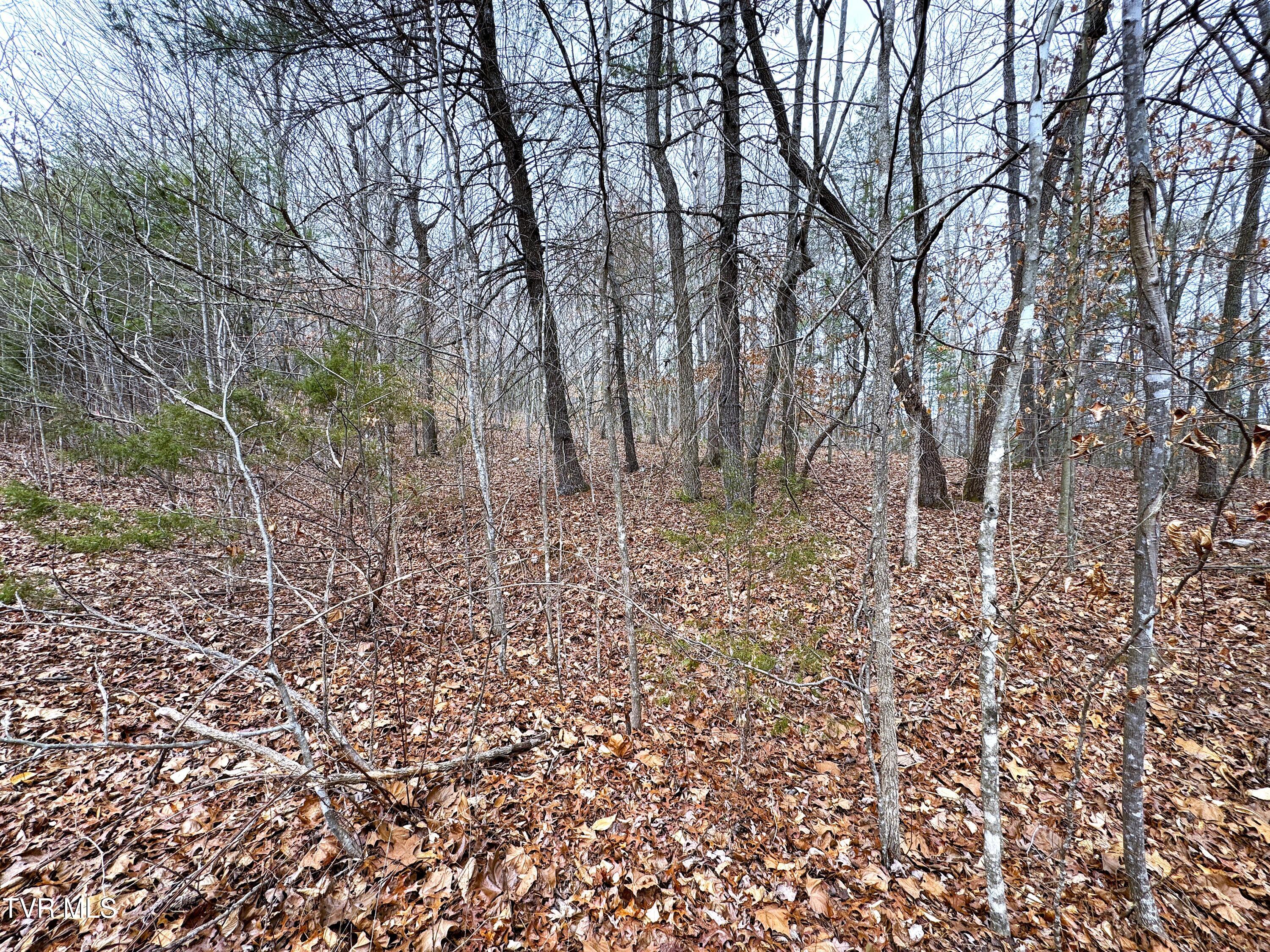 Lot 45 Zuni Way, Unit 45 Del Rio, TN 37727 - Photo 1 of 9 IMG_3245