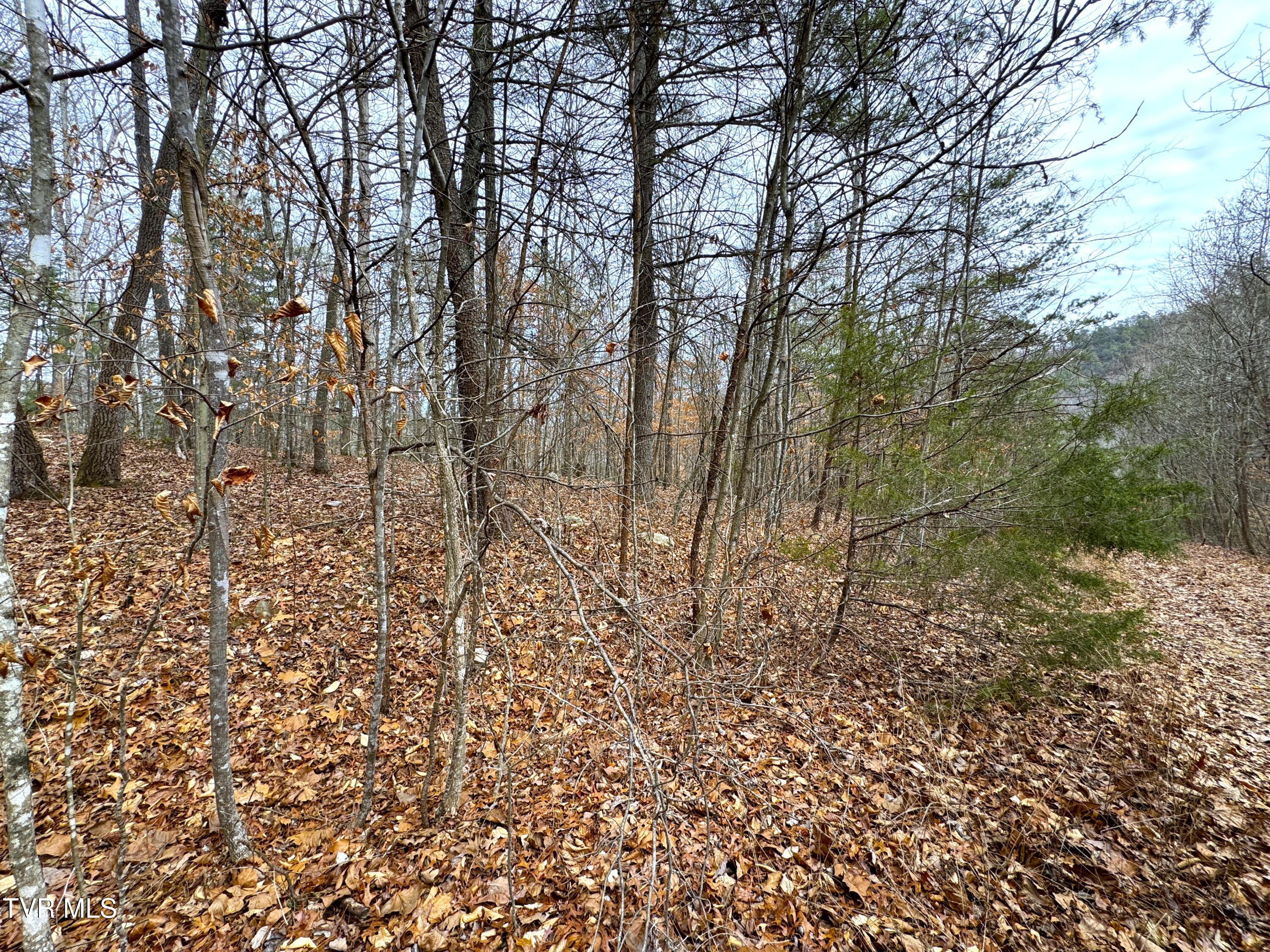Lot 45 Zuni Way, Unit 45 Del Rio, TN 37727 - Photo 2 of 9 IMG_3246