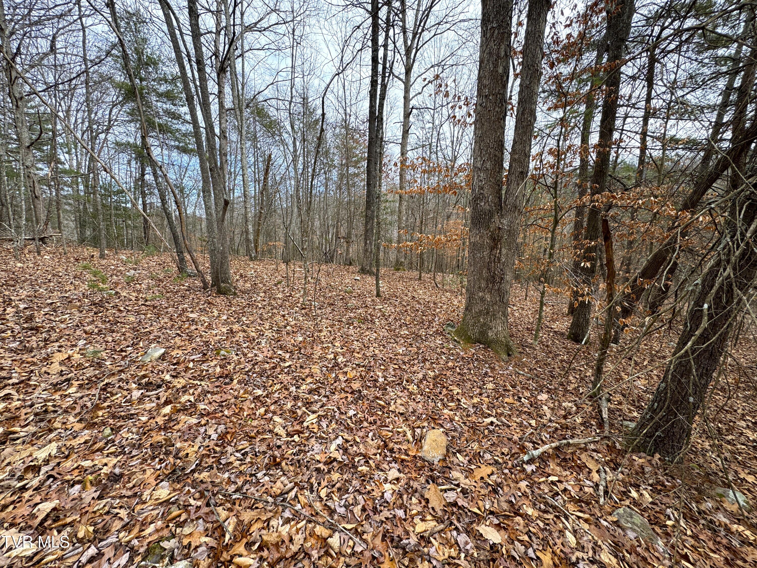 Lot 45 Zuni Way, Unit 45 Del Rio, TN 37727 - Photo 3 of 9 IMG_3247