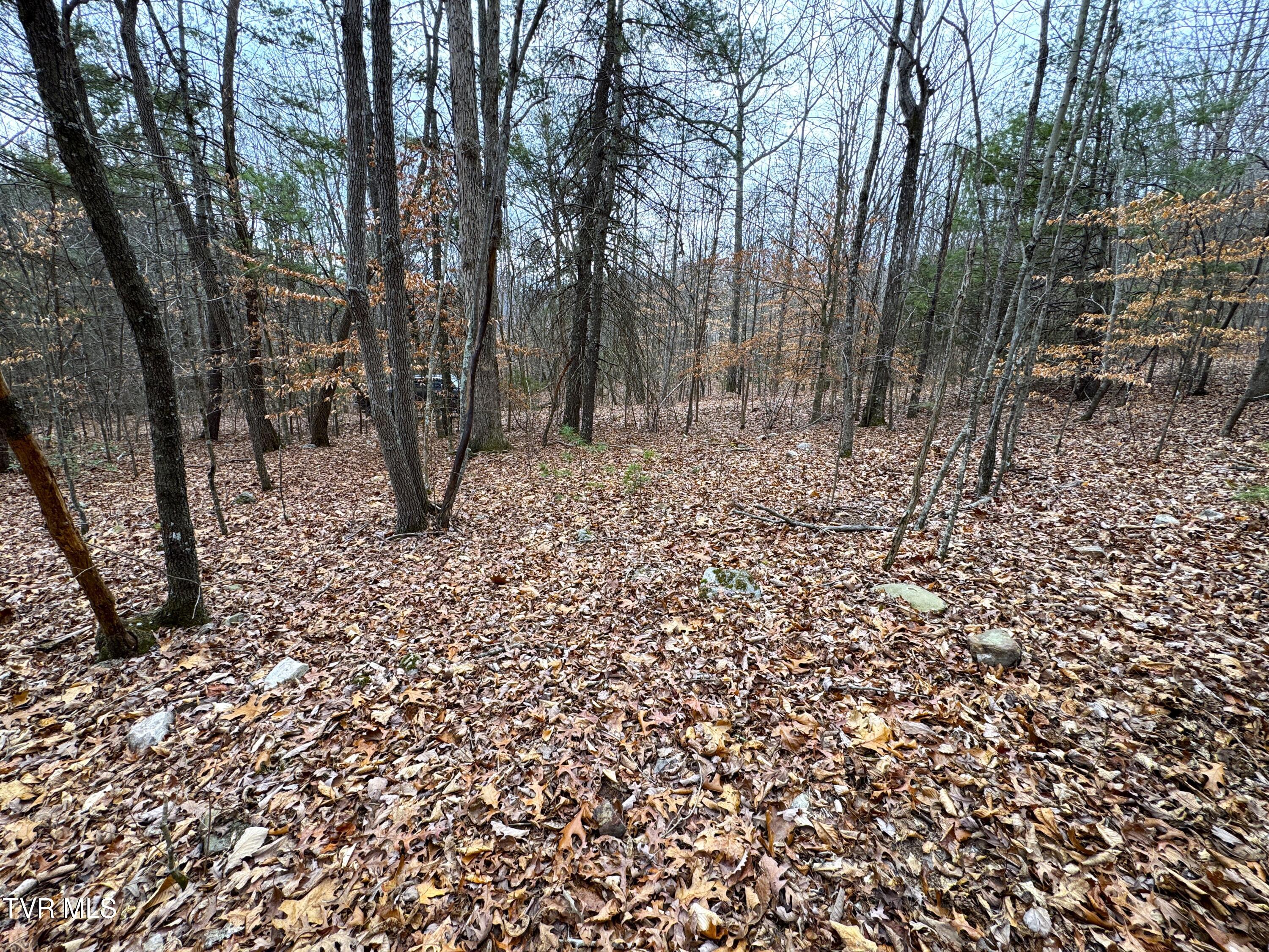 Lot 45 Zuni Way, Unit 45 Del Rio, TN 37727 - Photo 6 of 9 IMG_3250