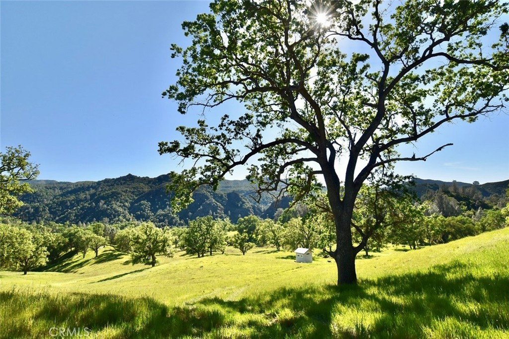 46651 Sapaque Valley Road Bradley, CA 93426 - Photo 24 of 38
