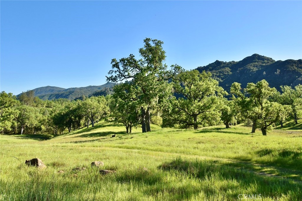 46651 Sapaque Valley Road Bradley, CA 93426 - Photo 25 of 38