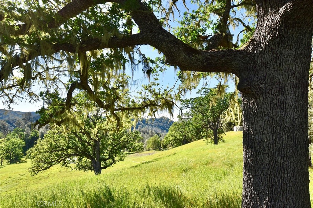 46651 Sapaque Valley Road Bradley, CA 93426 - Photo 27 of 38