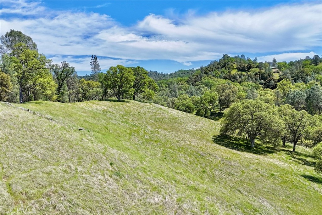 46651 Sapaque Valley Road Bradley, CA 93426 - Photo 30 of 38