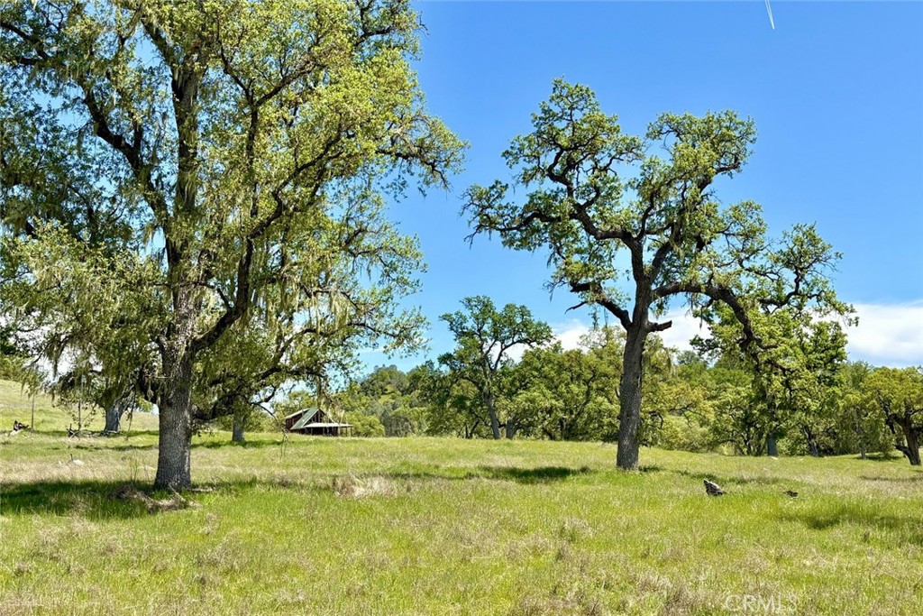 46651 Sapaque Valley Road Bradley, CA 93426 - Photo 31 of 38