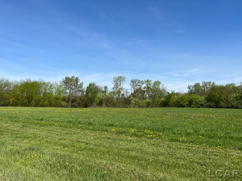 13338 Aten Road Deerfield, MI 49238 - Photo 20 of 21 50074173-19.JPG