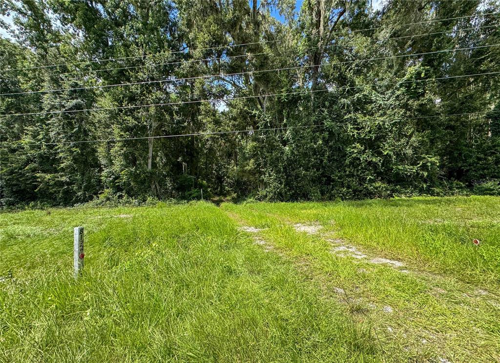 8124 Southwest County Road 346 Archer, FL 32618 - Photo 3 of 4