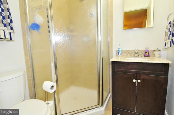 3919 Nemo Road Randallstown, MD 21133 - Photo 11 of 19 Bath (Master)