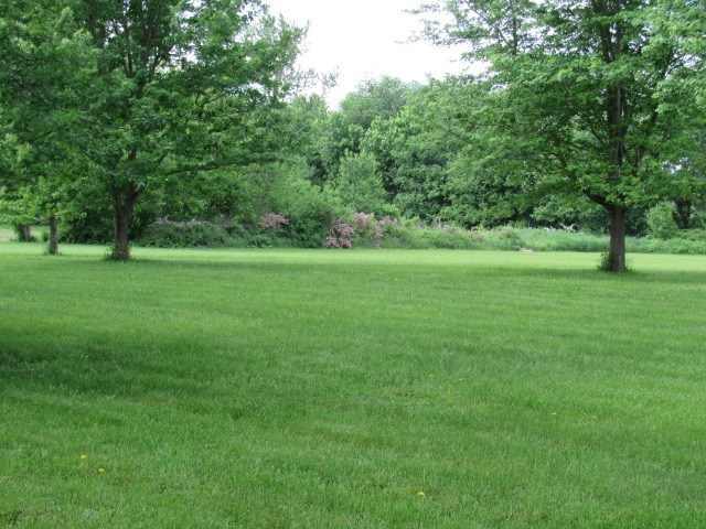 8430 West State Road Rockford, IL 61102 - Photo 25 of 25 a view of a grassy field with trees