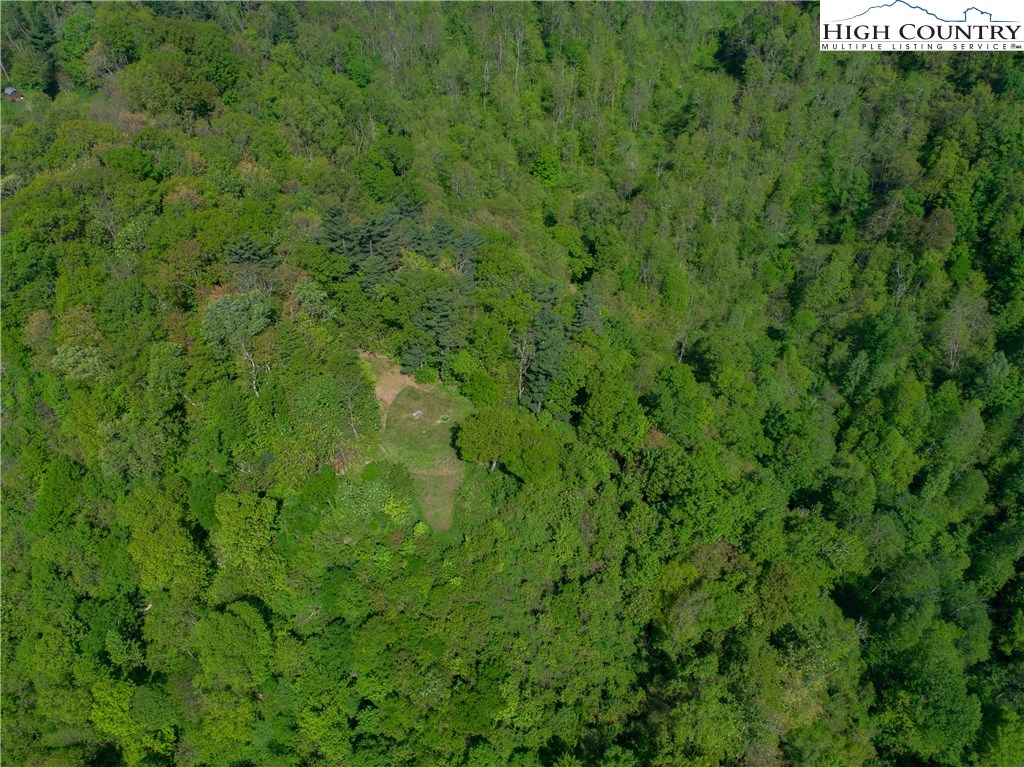 Storie Road Deep Gap, NC 28618 - Photo 11 of 27 a view of a lush green forest