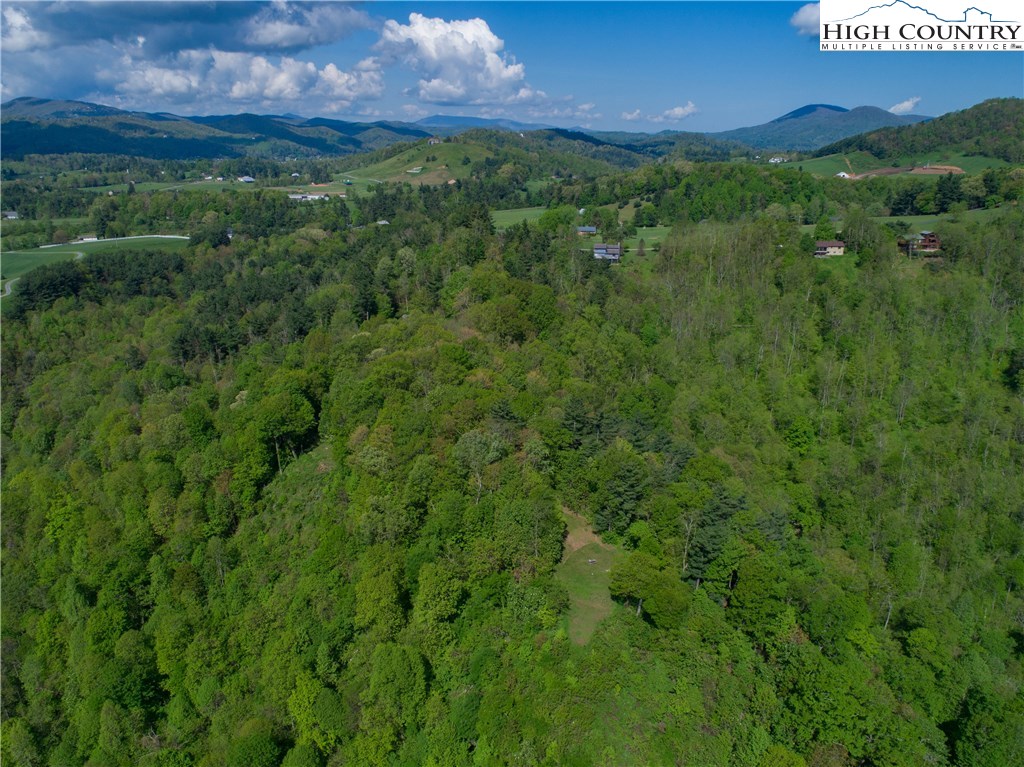 Storie Road Deep Gap, NC 28618 - Photo 12 of 27 a view of a lush green outdoor space with a lake view