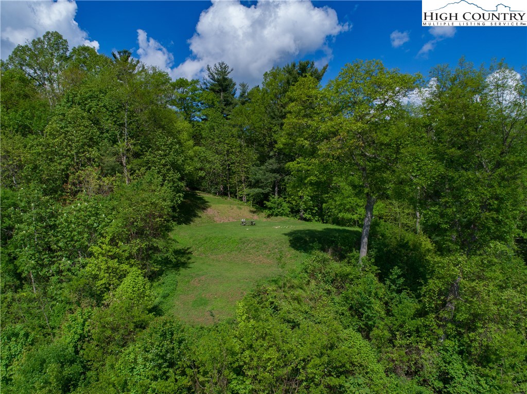 Storie Road Deep Gap, NC 28618 - Photo 13 of 27 a view of a garden from a lake