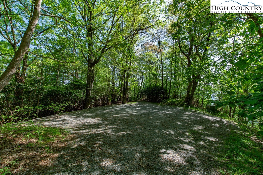 Storie Road Deep Gap, NC 28618 - Photo 14 of 27 a big yard with lots of green space and deers
