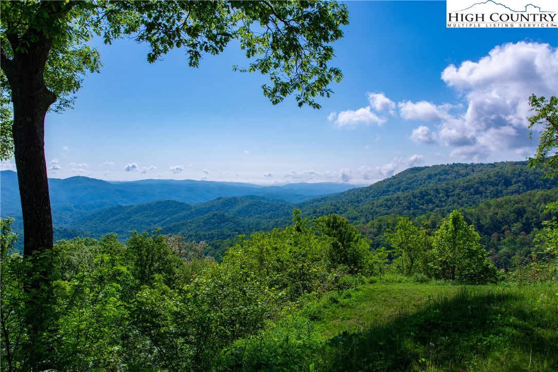 Storie Road Deep Gap, NC 28618 - Photo 21 of 27 a view of a bunch of plants and trees