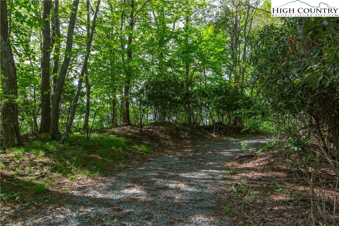Storie Road Deep Gap, NC 28618 - Photo 26 of 27 a big yard with lots of green space and trees