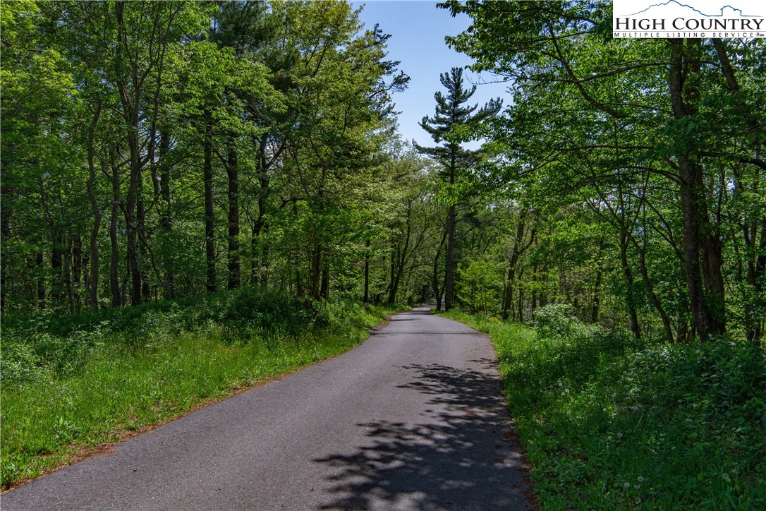 Storie Road Deep Gap, NC 28618 - Photo 27 of 27 a view of a street with a bench and trees