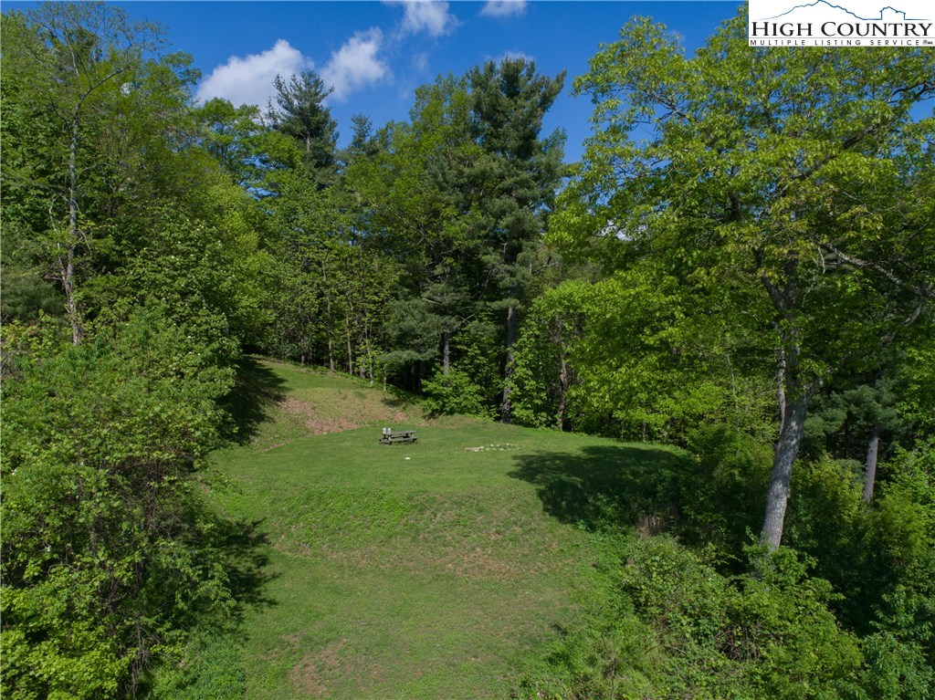 Storie Road Deep Gap, NC 28618 - Photo 6 of 27 a view of a lush green space