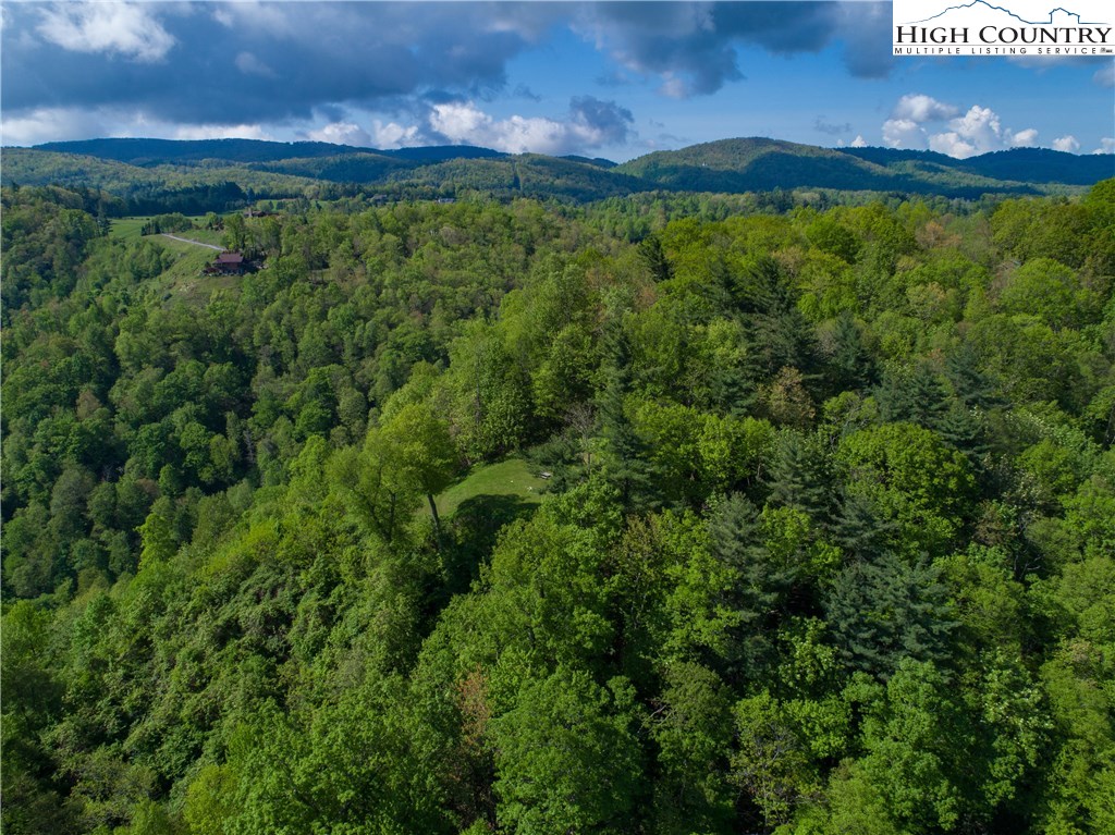 Storie Road Deep Gap, NC 28618 - Photo 9 of 27 a view of a yard
