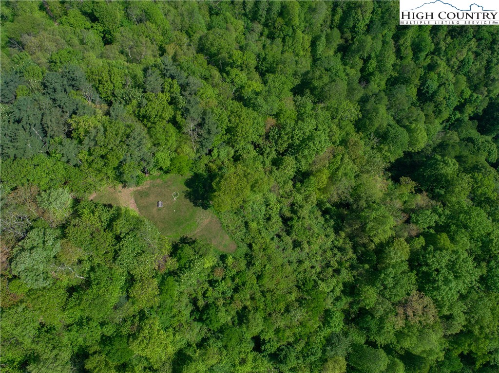 Storie Road Deep Gap, NC 28618 - Photo 10 of 27 a view of a lush green forest with lots of trees