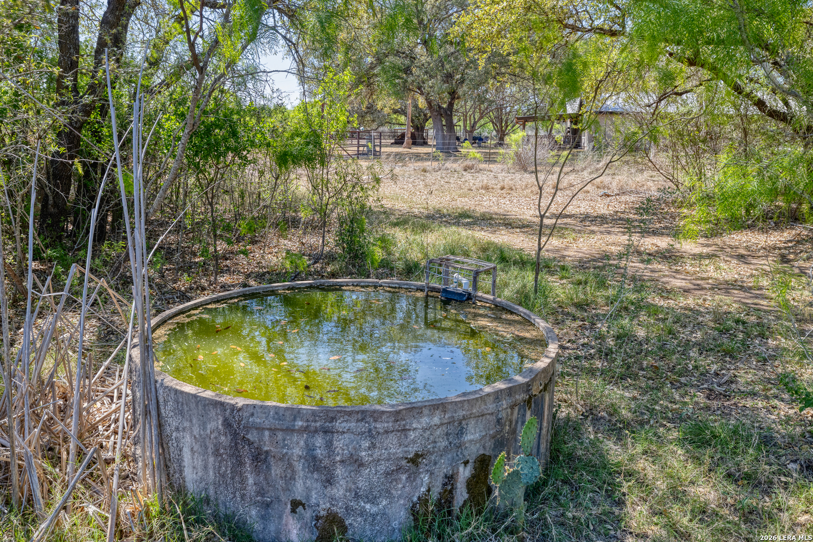 160 Beavers Trail Uvalde, TX 78801 - Photo 35 of 53 a small pool with trees in the background