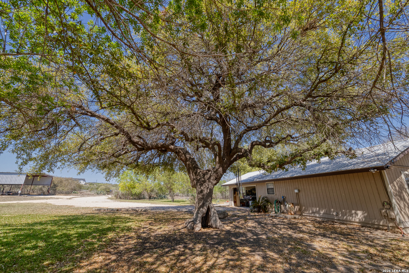 160 Beavers Trail Uvalde, TX 78801 - Photo 45 of 53 a view of a large tree next to a yard