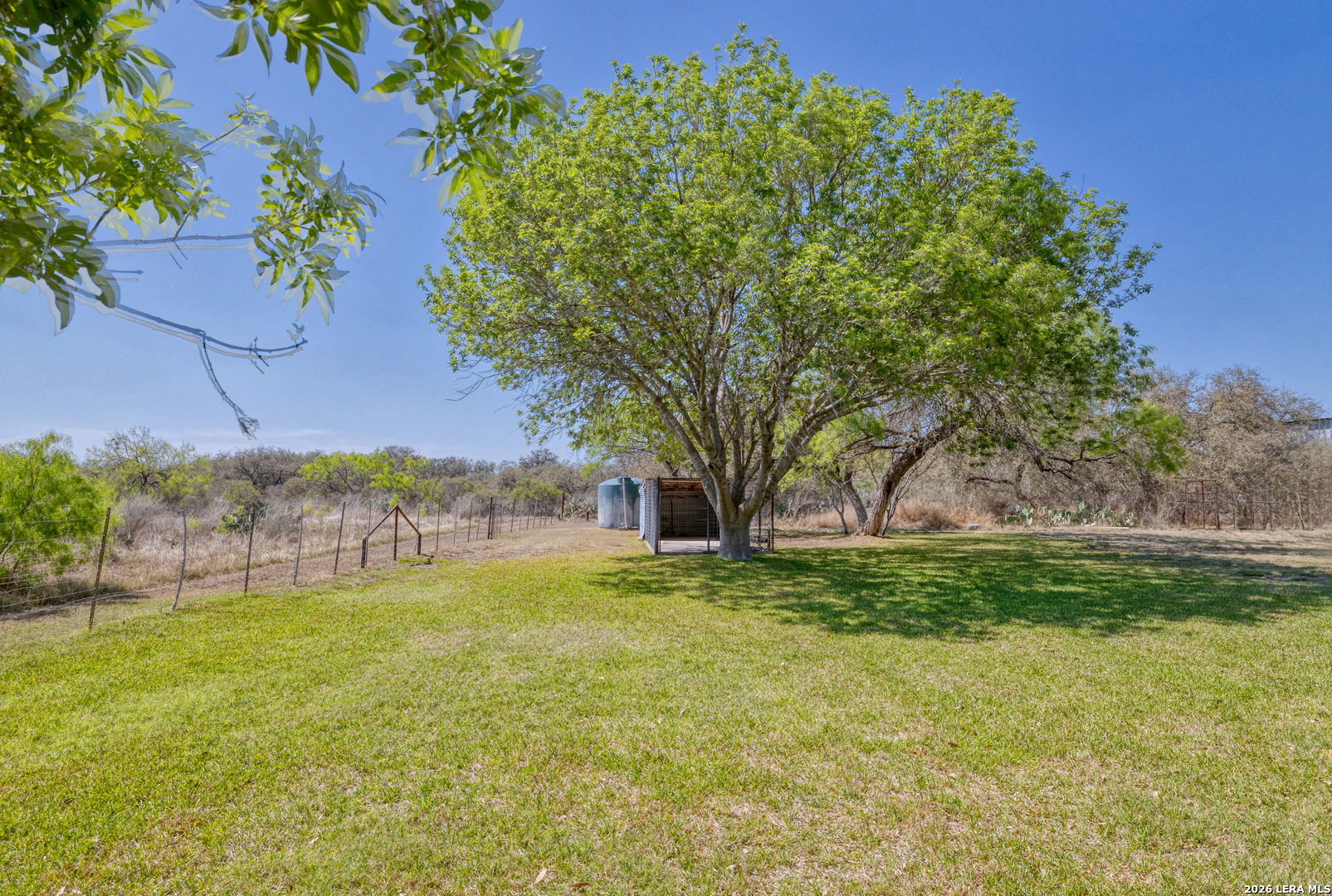 160 Beavers Trail Uvalde, TX 78801 - Photo 47 of 53 a view of a yard with a tree