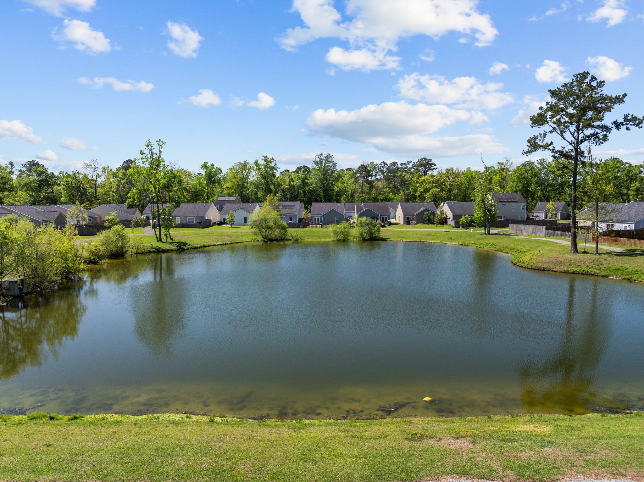 187 Brittondale Road Summerville, SC 29485 - Photo 38 of 51 41-web-or-mls-DJI_0580