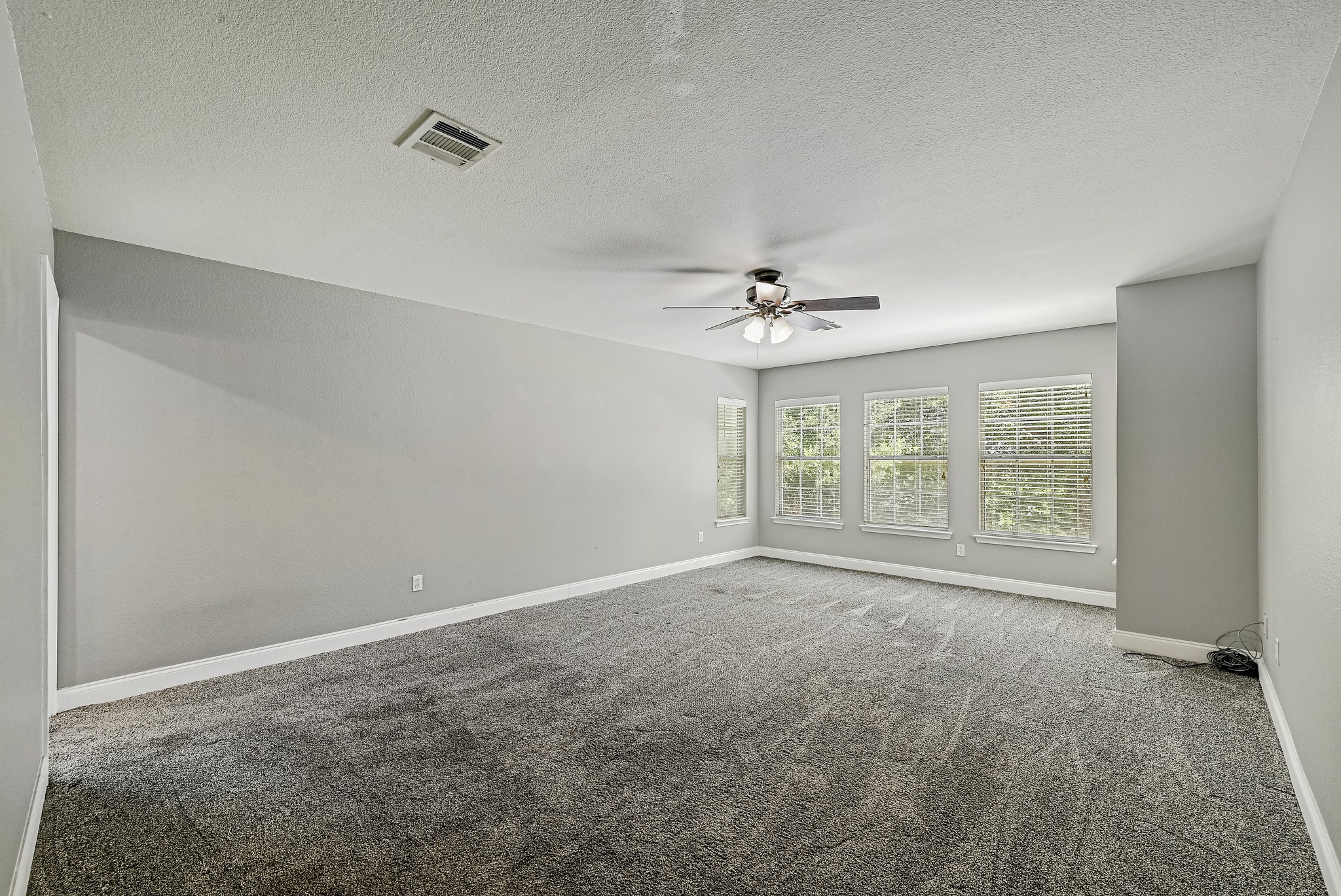 104 North Sumac Lane Georgetown, TX 78633 - Photo 28 of 40 A spacious room offers comfortable carpet flooring and abundant natural light through multiple windows.