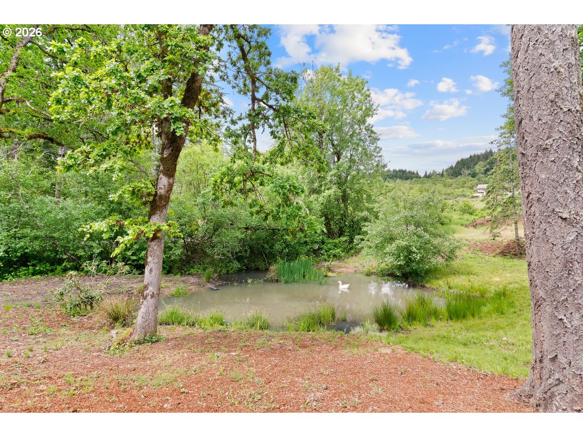 41114 Southwest Fort Hill Road Willamina, OR 97396 - Photo 45 of 47