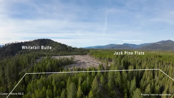 $649,000 | Nna Mud Gulch Road, Priest River, ID 83856