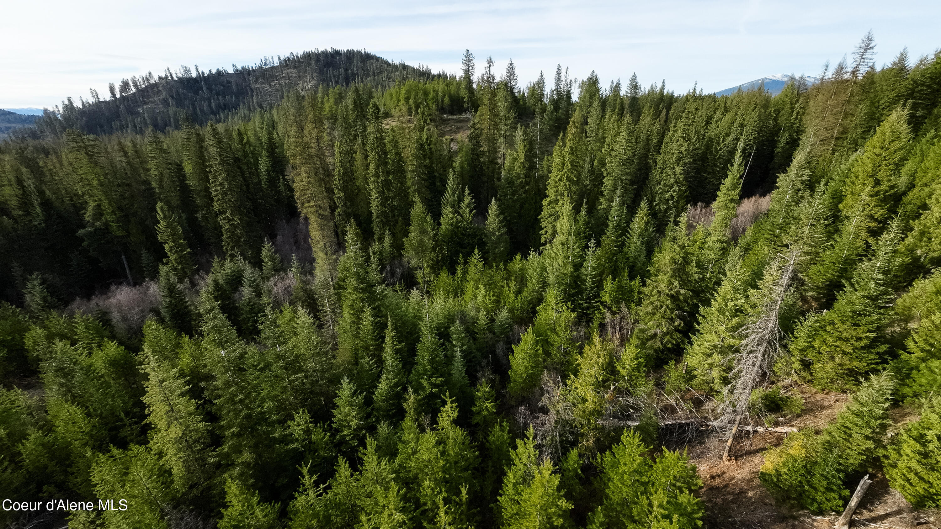 Nna Mud Gulch Road Priest River, ID 83856 - Photo 12 of 31 NNA_MudGulch_008