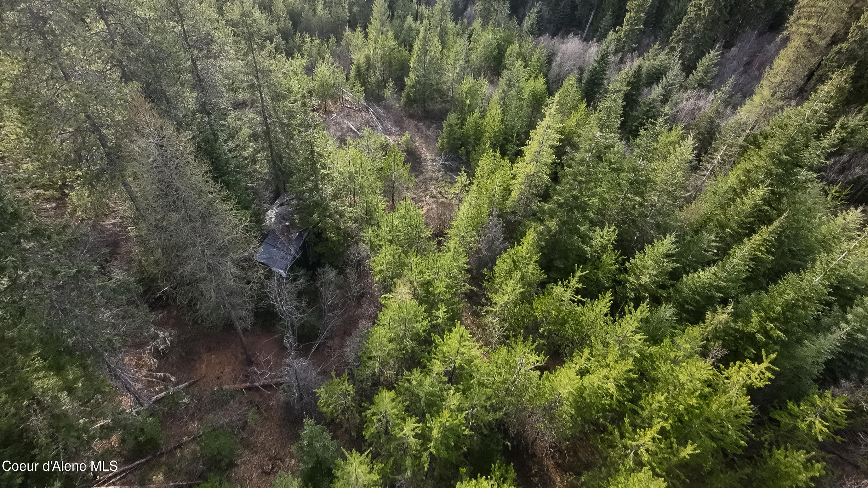 Nna Mud Gulch Road Priest River, ID 83856 - Photo 13 of 31 NNA_MudGulch_009