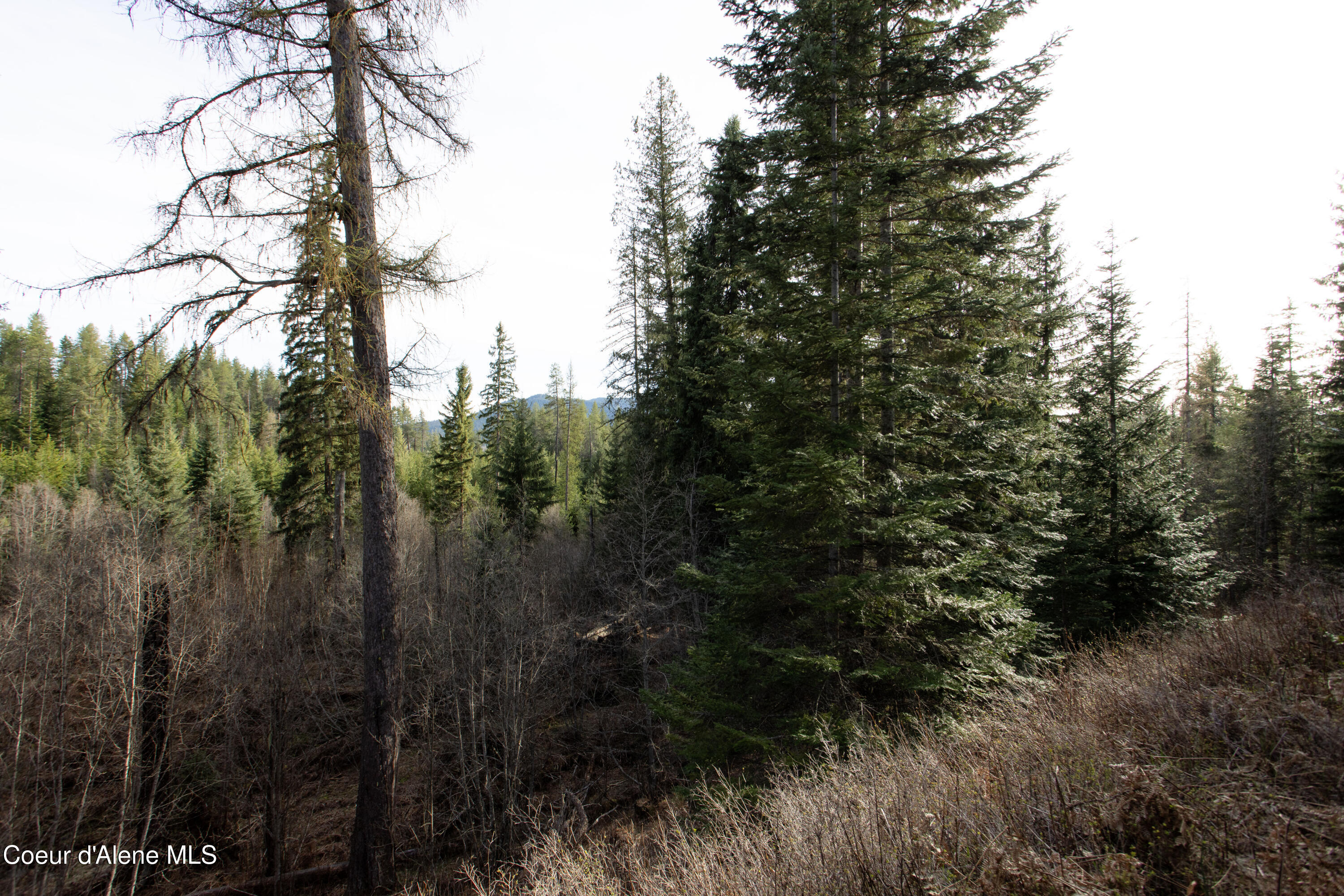 Nna Mud Gulch Road Priest River, ID 83856 - Photo 19 of 31 NNA_MudGulch_015