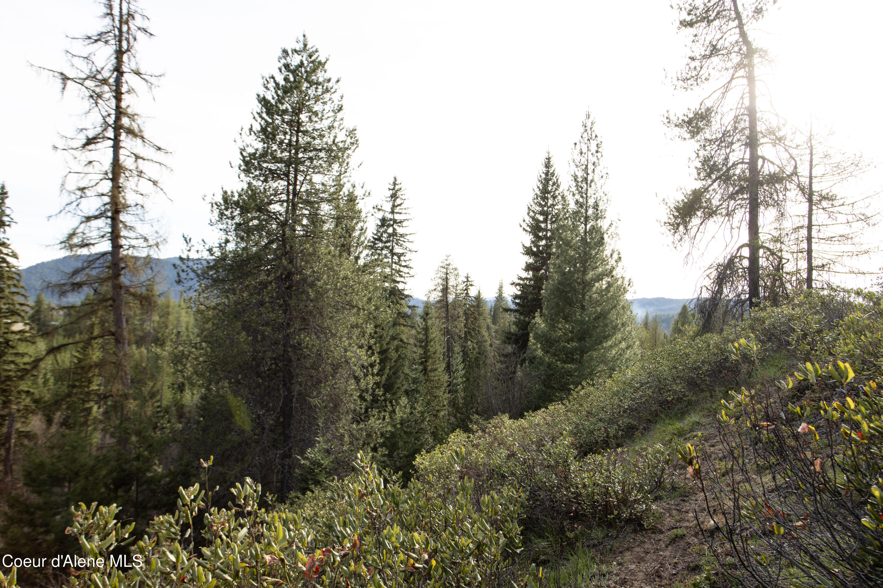 Nna Mud Gulch Road Priest River, ID 83856 - Photo 20 of 31 NNA_MudGulch_016