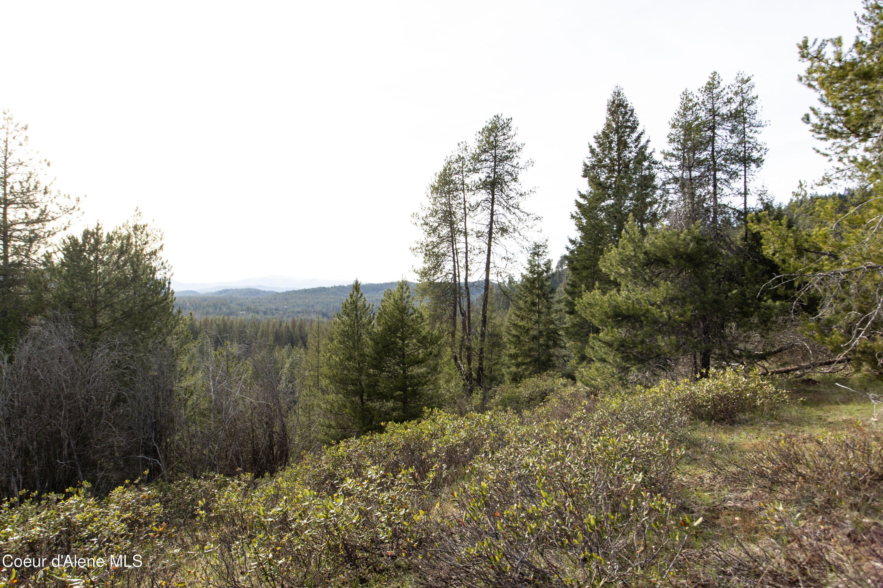 Nna Mud Gulch Road Priest River, ID 83856 - Photo 21 of 31 NNA_MudGulch_017