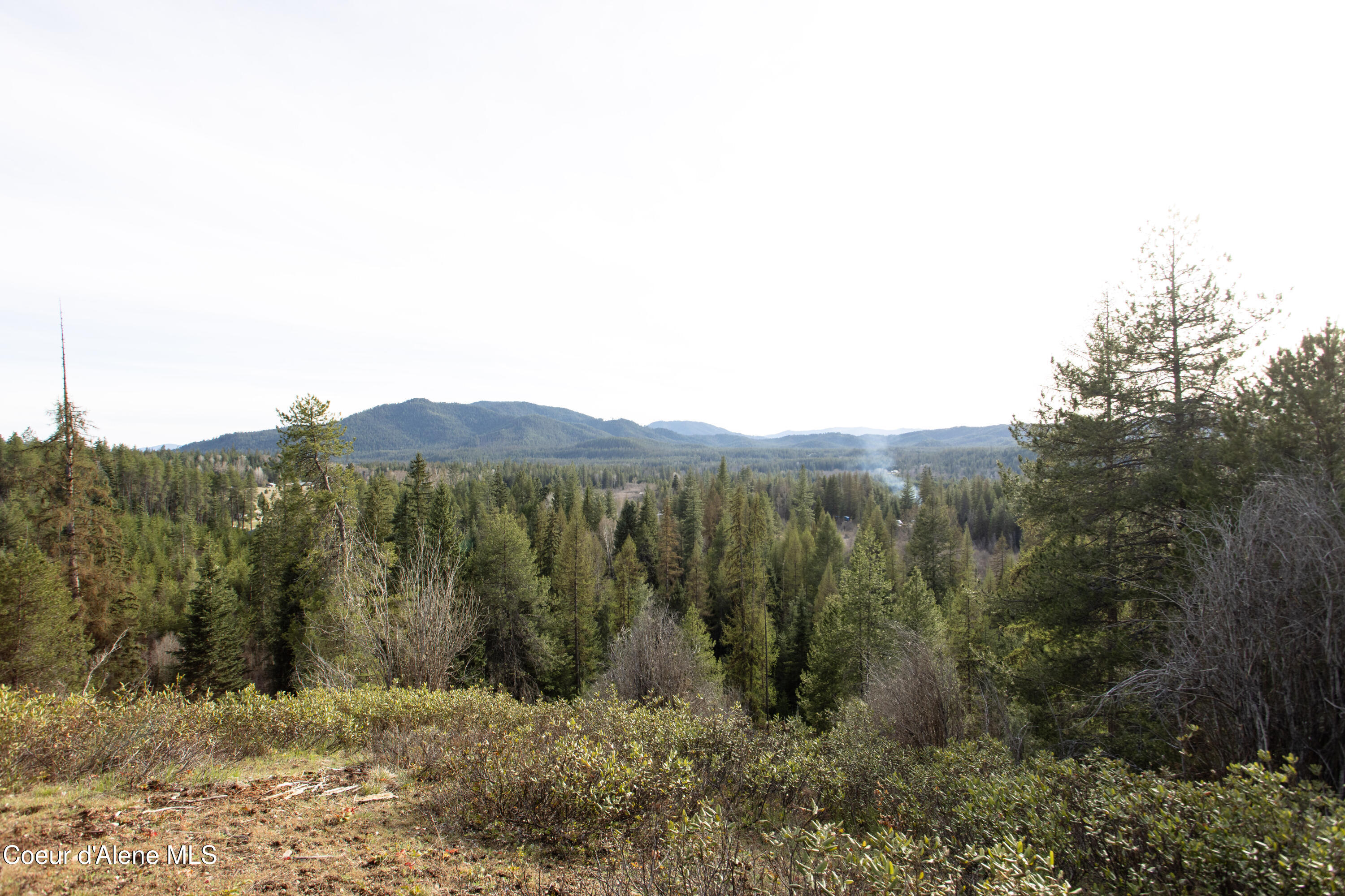 Nna Mud Gulch Road Priest River, ID 83856 - Photo 22 of 31 NNA_MudGulch_018
