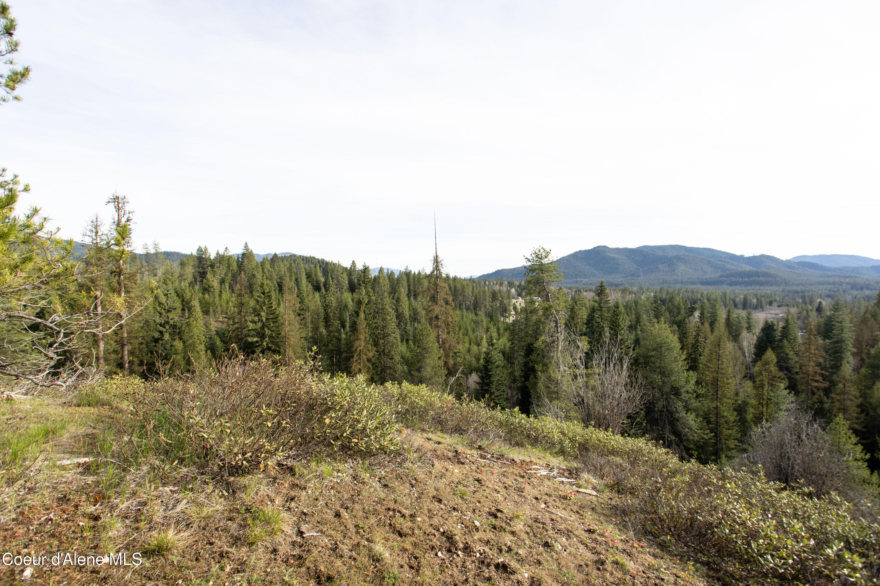 Nna Mud Gulch Road Priest River, ID 83856 - Photo 23 of 31 NNA_MudGulch_019