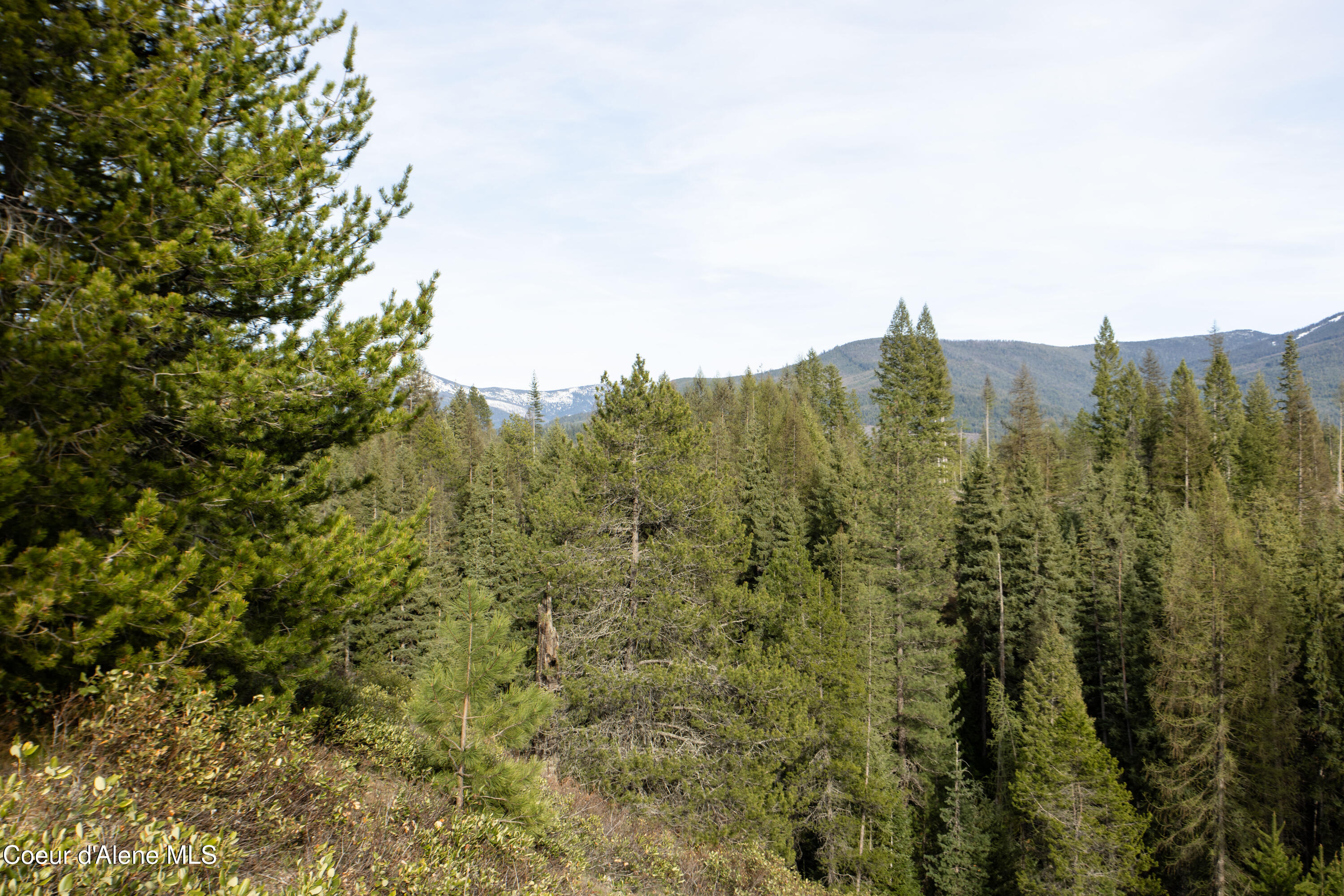 Nna Mud Gulch Road Priest River, ID 83856 - Photo 24 of 31 NNA_MudGulch_020