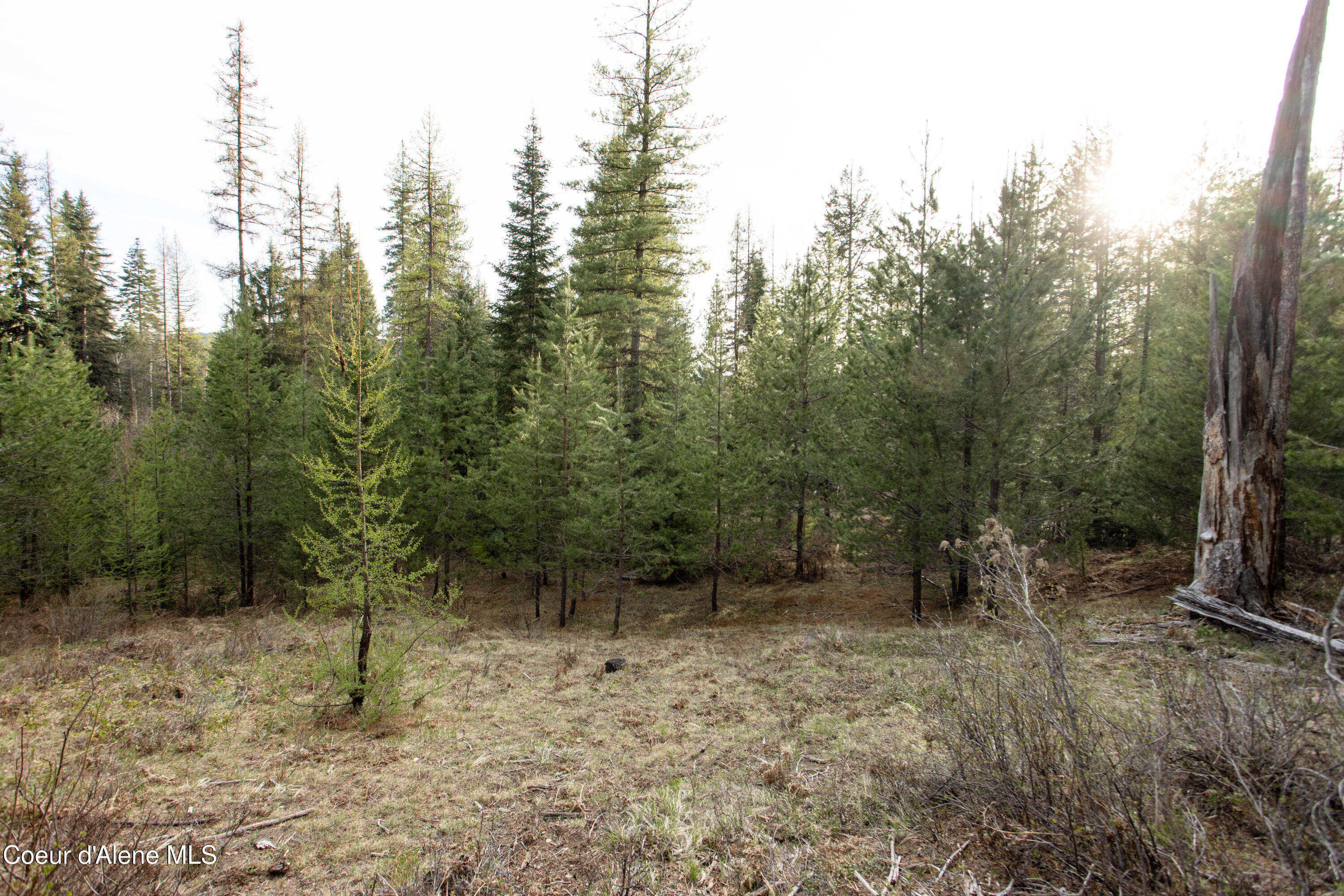 Nna Mud Gulch Road Priest River, ID 83856 - Photo 25 of 31 NNA_MudGulch_021