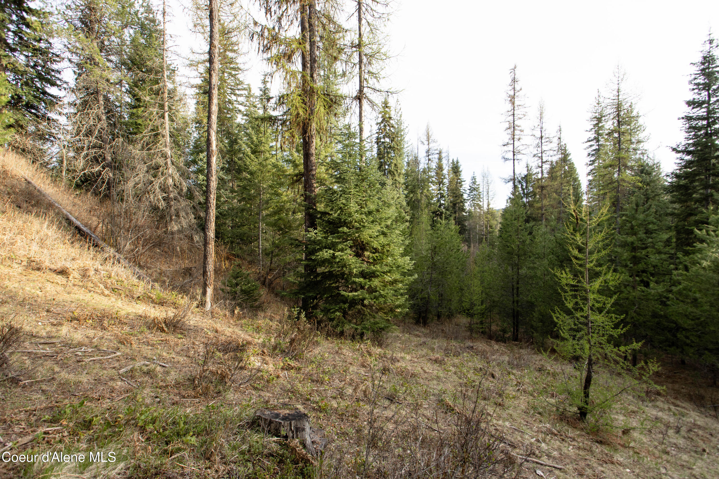 Nna Mud Gulch Road Priest River, ID 83856 - Photo 26 of 31 NNA_MudGulch_022