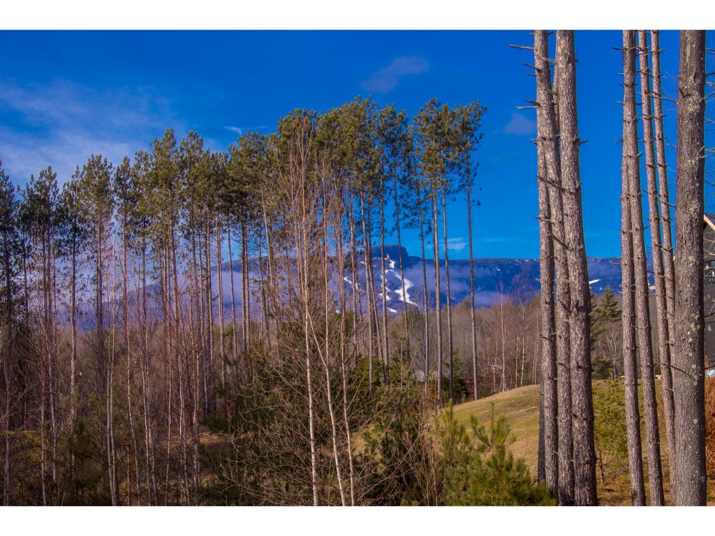 3922 Weeks Hill Road Stowe, VT 05672 - Photo 6 of 20 Gallery Image 6