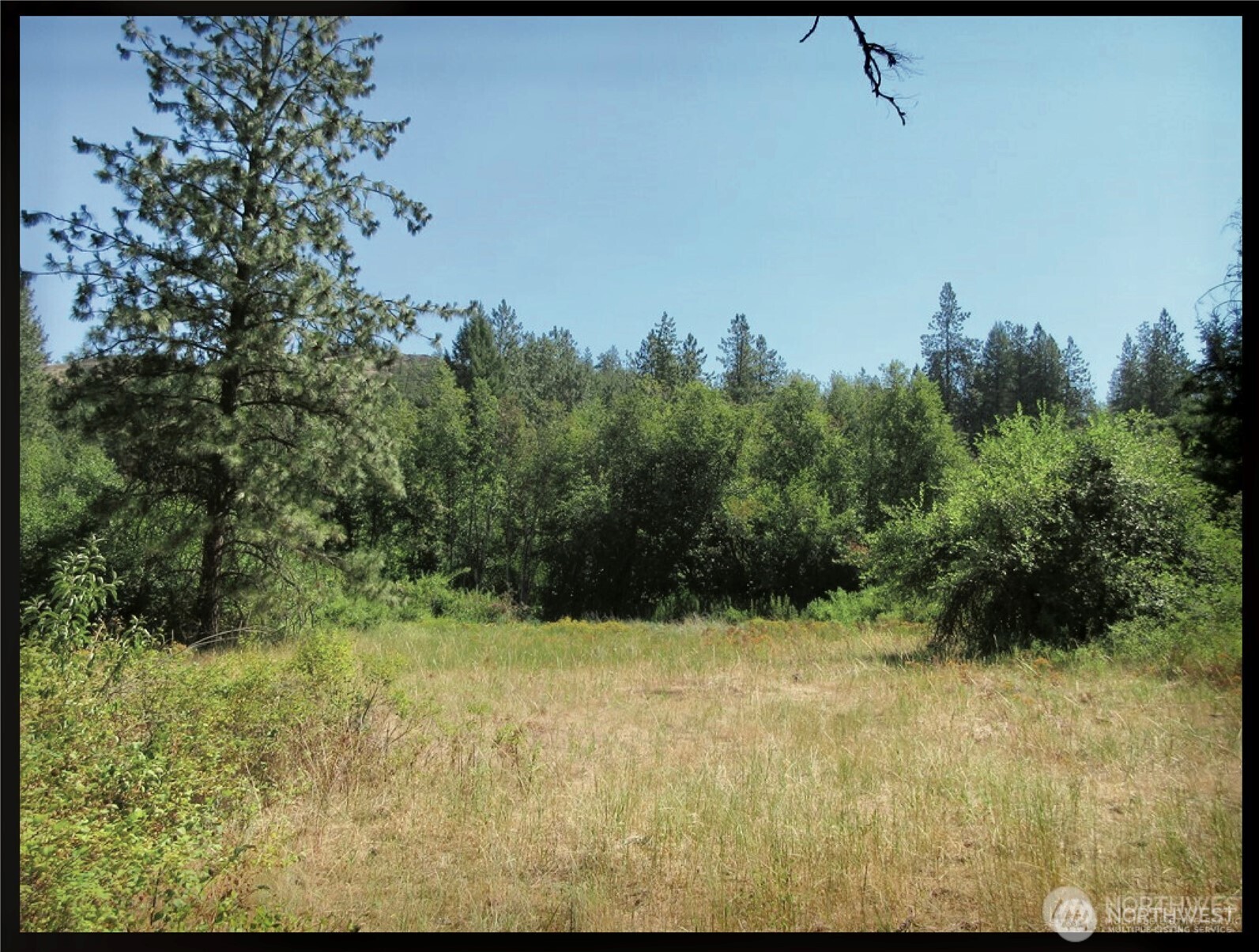 -tbd East San Poil Road Keller, WA 99140 - Photo 11 of 32 a view of a yard